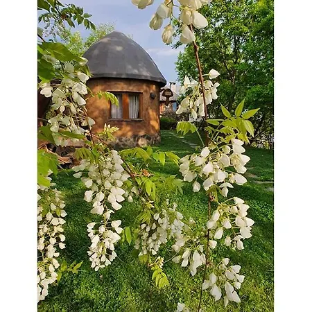 Valentina Castle 4* Ognianowo