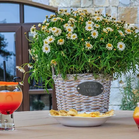 Bed & Breakfast Valentina Castle Ognjanovo