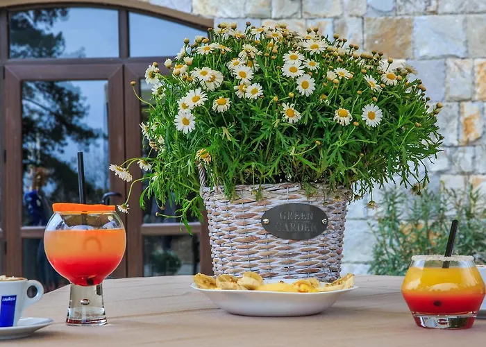 Bed and breakfast Valentina Castle Ognyanovo (Blagoevgrad)